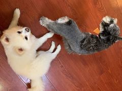 -零几体验diy皮具工作室(振业城店)