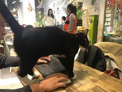 -小时光咖啡馆(开森度假森林店)