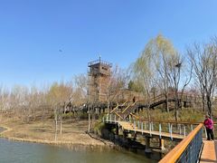 -东郊湿地公园