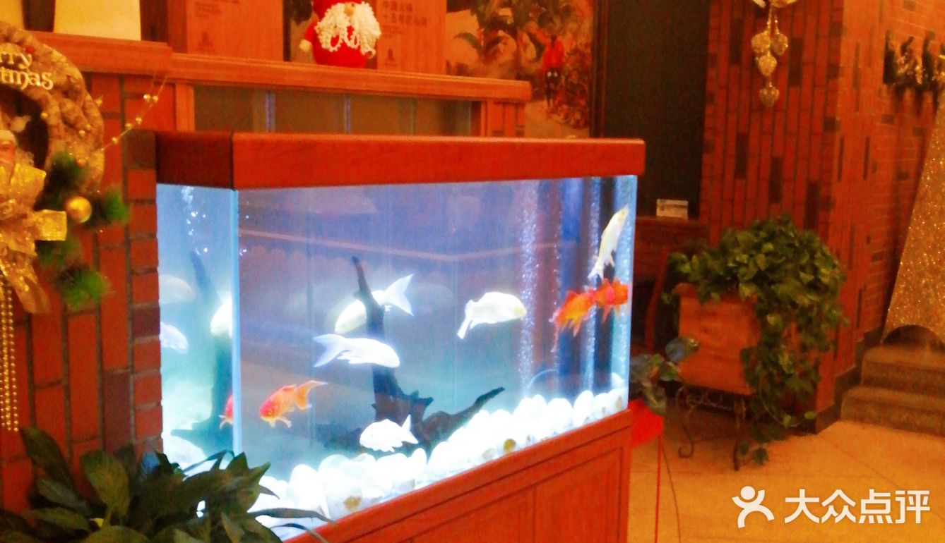 做为一家本土的老牌泰式火锅店,呈贡店我还是第一次来