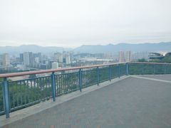 -金鸡山公园