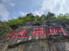 -铁山坪森林公园