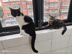 -乖乖宠物医院·猫科·骨科·24小时(云岗分院)