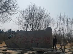 -大港湿地公园