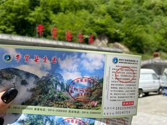 -牛背梁国家森林公园