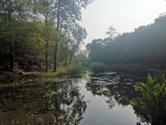-白水寺森林公园