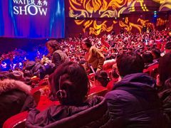 -水秀国际大剧院