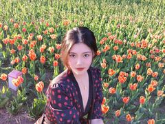 -长春公园(普阳街道)