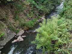 -羊山湖公园