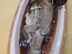 -白家大院·王府宫廷菜(苏州街店)