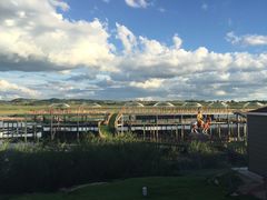 -塞罕坝国家级自然保护区