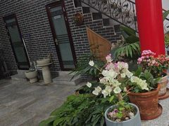 -微山岛春天里酒家