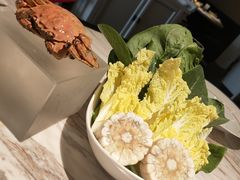 -汤城·料青山
