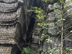 -梭布垭石林景区