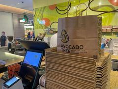 -油梨树AVOCADO TREE(嘉里中心店)