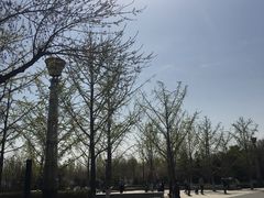 -大兴滨河森林公园