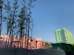 -杭州观成实验学校