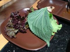 -韩盛炭火烤肉(万达广场店)