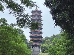 -红花山公园