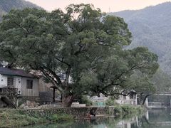 -鹿亭中村