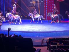 -珠海横琴长隆《卡卡虎奇遇记》