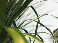 -F+轻食健身赋能空间(中华北路国贸商场店)