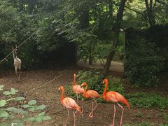 -杭州野生动物世界