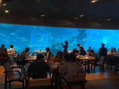 大堂-海棠湾洲际-涛·海底餐厅·美人鱼·自助餐·海底隧道