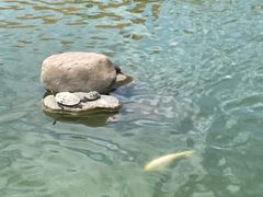 -密印寺