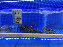 -悦海·家宴·冰花皮皮虾大锅贴(宝龙店)