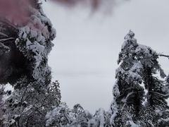 -瓦屋山景区