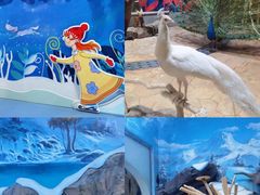 -海合安青岛极地海洋公园