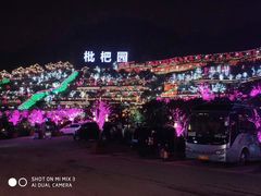 -枇杷园食为鲜火锅(南山店)
