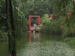-天鹅湖体育公园