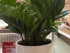 -荷花亭·湖北融合菜(中商广场店)