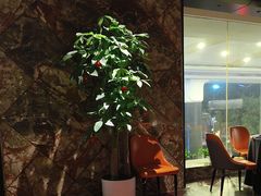 -肆月河豚·淮扬菜·湘菜(华天店)