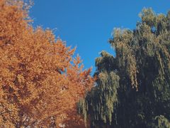 -东北大学(南湖校区)