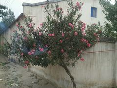 -郑州银基黄帝宫御温泉