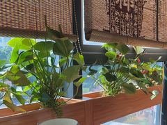 -粤点越有·茶点·粤菜(樵岭国际店)