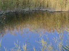 -野鸭湖国家湿地公园