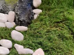 -华记煲仔华·煲仔饭(三元里万科里店)