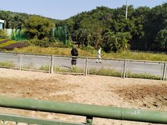 -深圳野生动物园