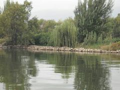 -才村湿地公园