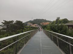 -仙岳公园