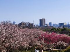-开福禅寺