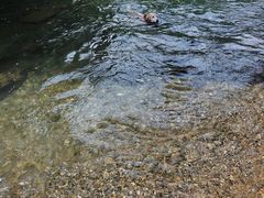 -华蓥山天意谷景区