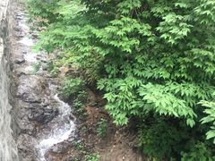 -天女山森林公园