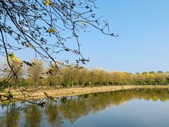 -佛山市三水温泉度假村