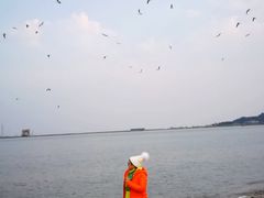 -东戴河风景区-止锚湾