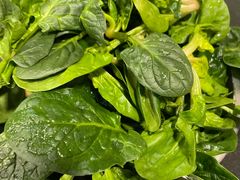 -新梅居(宁海东路店)